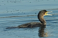 05 01 17_5639_edited-1